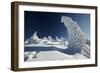 Norway Spruce Trees Covered in Snow and Ice-null-Framed Photographic Print