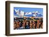 Norway, Stockfish, Cod, Hamnoy-Bernd Rommelt-Framed Photographic Print