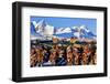 Norway, Stockfish, Cod, Hamnoy-Bernd Rommelt-Framed Photographic Print