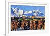 Norway, Stockfish, Cod, Hamnoy-Bernd Rommelt-Framed Photographic Print