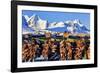 Norway, Stockfish, Cod, Hamnoy-Bernd Rommelt-Framed Photographic Print