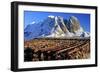 Norway, Stockfish, Cod, Hamnoy-Bernd Rommelt-Framed Photographic Print