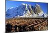 Norway, Stockfish, Cod, Hamnoy-Bernd Rommelt-Mounted Photographic Print