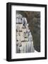 Norway. Svalbard. Alkefjellet. Colony of Common Guillemots-Inger Hogstrom-Framed Photographic Print