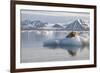 Norway, Svalbard. Bearded Seal Resting on Ice-Jaynes Gallery-Framed Photographic Print