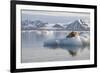 Norway, Svalbard. Bearded Seal Resting on Ice-Jaynes Gallery-Framed Photographic Print