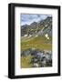 Norway. Svalbard. Bellsund. Camp Millar. Svalbard Reindeer Grazing-Inger Hogstrom-Framed Photographic Print