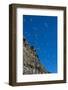 Norway. Svalbard. Black-Legged Kittiwake Colony on the Cliffs-Inger Hogstrom-Framed Photographic Print