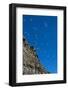 Norway. Svalbard. Black-Legged Kittiwake Colony on the Cliffs-Inger Hogstrom-Framed Photographic Print