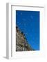 Norway. Svalbard. Black-Legged Kittiwake Colony on the Cliffs-Inger Hogstrom-Framed Photographic Print