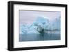 Norway. Svalbard. Brasvelbreen. Turquoise Ice Bergs in the Calm Water-Inger Hogstrom-Framed Photographic Print