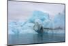 Norway. Svalbard. Brasvelbreen. Turquoise Ice Bergs in the Calm Water-Inger Hogstrom-Mounted Photographic Print