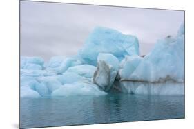 Norway. Svalbard. Brasvelbreen. Turquoise Ice Bergs in the Calm Water-Inger Hogstrom-Mounted Premium Photographic Print