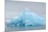 Norway. Svalbard. Brasvelbreen. Turquoise Ice Bergs in the Calm Water-Inger Hogstrom-Mounted Premium Photographic Print