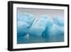 Norway. Svalbard. Brasvelbreen. Turquoise Ice Bergs in the Calm Water-Inger Hogstrom-Framed Photographic Print