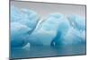 Norway. Svalbard. Brasvelbreen. Turquoise Ice Bergs in the Calm Water-Inger Hogstrom-Mounted Photographic Print