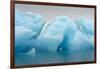 Norway. Svalbard. Brasvelbreen. Turquoise Ice Bergs in the Calm Water-Inger Hogstrom-Framed Photographic Print