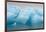 Norway. Svalbard. Brasvelbreen. Turquoise Ice Bergs in the Calm Water-Inger Hogstrom-Framed Photographic Print