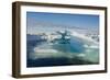 Norway. Svalbard. Drift Ice-Inger Hogstrom-Framed Photographic Print