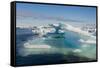 Norway. Svalbard. Drift Ice-Inger Hogstrom-Framed Stretched Canvas