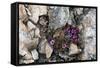 Norway. Svalbard. Kongsfjorden. Saxifrage Growing Amidst the Rocks-Inger Hogstrom-Framed Stretched Canvas