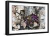 Norway. Svalbard. Kongsfjorden. Saxifrage Growing Amidst the Rocks-Inger Hogstrom-Framed Photographic Print