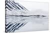 Norway, Svalbard, Monacobreen Glacier, Reflections of Mountains and Glacier-Ellen Goff-Stretched Canvas