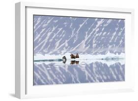 Norway, Svalbard, Pack Ice, Walrus on Ice Floes-Ellen Goff-Framed Photographic Print