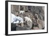 Norway, Svalbard, Polar Bear and Cub Coming Off Rocks to the Ocean-Ellen Goff-Framed Photographic Print
