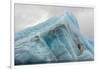 Norway. Svalbard. Spitsbergen. Hornsund. Brepollen. Icebergs Patterns-Inger Hogstrom-Framed Premium Photographic Print