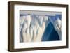 Norway, Svalbard, Spitsbergen. Northern Fulmars Rest Atop Glacier-Jaynes Gallery-Framed Photographic Print