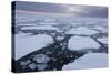 Norway, Svalbard, Spitsbergen. Polar Bear on Sea Ice at Sunset-Jaynes Gallery-Stretched Canvas