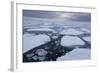 Norway, Svalbard, Spitsbergen. Polar Bear on Sea Ice at Sunset-Jaynes Gallery-Framed Photographic Print