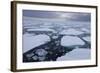 Norway, Svalbard, Spitsbergen. Polar Bear on Sea Ice at Sunset-Jaynes Gallery-Framed Photographic Print