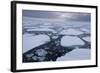 Norway, Svalbard, Spitsbergen. Polar Bear on Sea Ice at Sunset-Jaynes Gallery-Framed Photographic Print