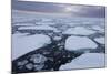 Norway, Svalbard, Spitsbergen. Polar Bear on Sea Ice at Sunset-Jaynes Gallery-Mounted Photographic Print