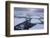 Norway, Svalbard, Spitsbergen. Polar Bear on Sea Ice at Sunset-Jaynes Gallery-Framed Photographic Print