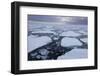 Norway, Svalbard, Spitsbergen. Polar Bear on Sea Ice at Sunset-Jaynes Gallery-Framed Photographic Print