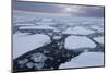 Norway, Svalbard, Spitsbergen. Polar Bear on Sea Ice at Sunset-Jaynes Gallery-Mounted Photographic Print