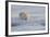 Norway, Svalbard, Spitsbergen. Polar Bear Rests on Sea Ice at Sunrise-Jaynes Gallery-Framed Photographic Print