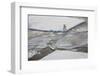 Norway, Svalbard, Spitsbergen. Polar Bear Stands on Sea Ice-Jaynes Gallery-Framed Photographic Print