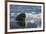 Norway, Svalbard, Spitsbergen. Walrus Surfaces in Water-Jaynes Gallery-Framed Photographic Print