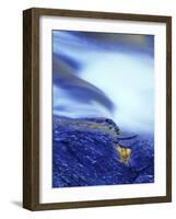 Norway, Telemark, Jšrundskarheia, Reflection of Autumn Foliage in a Brook-Andreas Keil-Framed Photographic Print