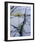 Norway, Telemark, the North Sea, Skagerak, Portšr, Lichen-Covered Rocks-Andreas Keil-Framed Photographic Print