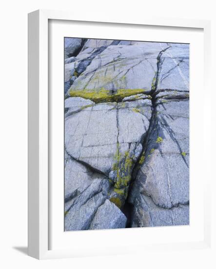 Norway, Telemark, the North Sea, Skagerak, Portšr, Lichen-Covered Rocks-Andreas Keil-Framed Photographic Print