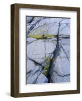 Norway, Telemark, the North Sea, Skagerak, Portšr, Lichen-Covered Rocks-Andreas Keil-Framed Photographic Print