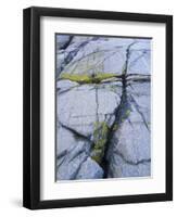 Norway, Telemark, the North Sea, Skagerak, Portšr, Lichen-Covered Rocks-Andreas Keil-Framed Photographic Print