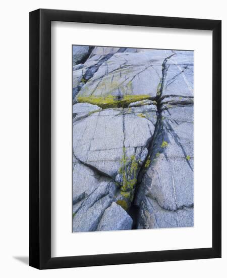 Norway, Telemark, the North Sea, Skagerak, Portšr, Lichen-Covered Rocks-Andreas Keil-Framed Photographic Print