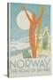 Norway, the Home of Skiing Poster-Trygve Davidsen-Stretched Canvas