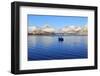 Norway, Troms¿, Sommaroya-Ronald Wittek-Framed Photographic Print